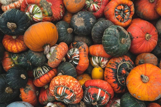 a colorful array of fresh vegetables