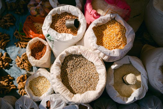 colorful array of whole grains and legumes